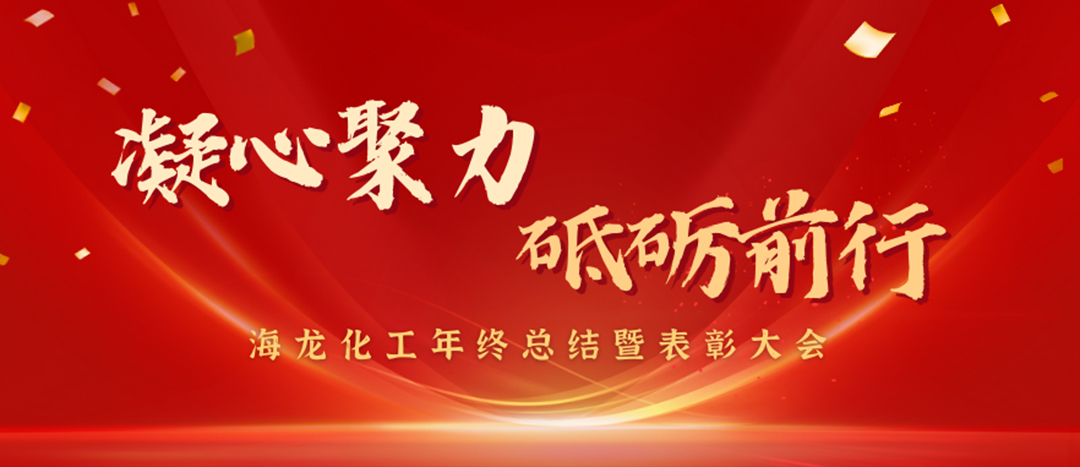 表彰 | 凝心聚力，砥礪前行，海龍化工年終總結(jié)暨表彰大會(huì)圓滿舉行